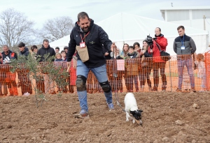 Carlos Javier Diarte y Laica ganan el IV Concurso Nacional de Perros Truferos de la Sierra del Moncayo